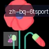 6T体育 logo