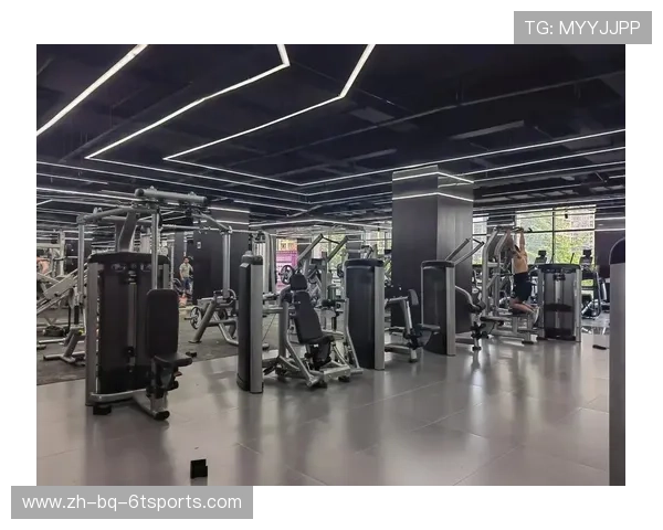 高性价比健身器材推荐榜单及用户反馈